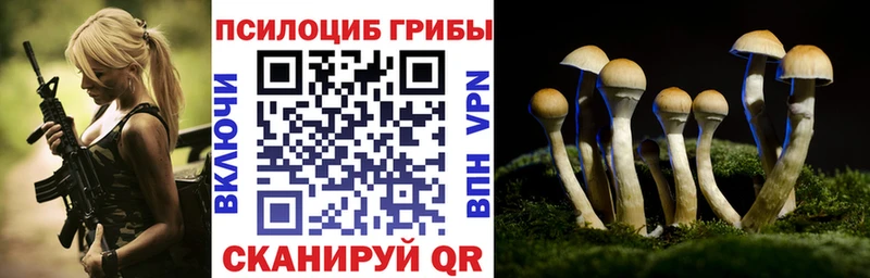 Псилоцибиновые грибы Psilocybe  наркота  Старица 